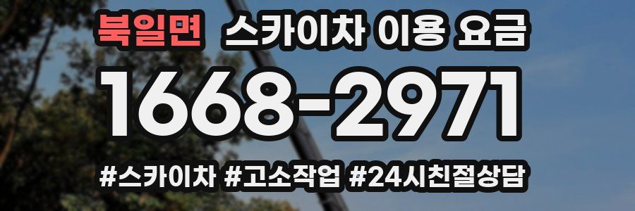 북일면 스카이차 이용 요금