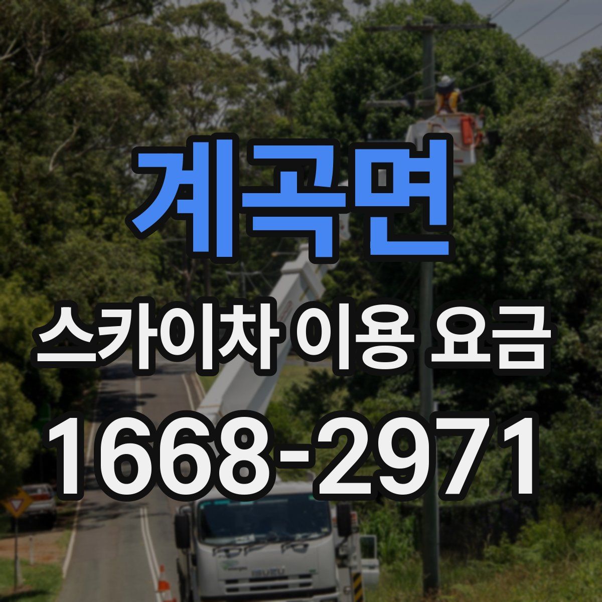 계곡면 스카이차 이용 요금