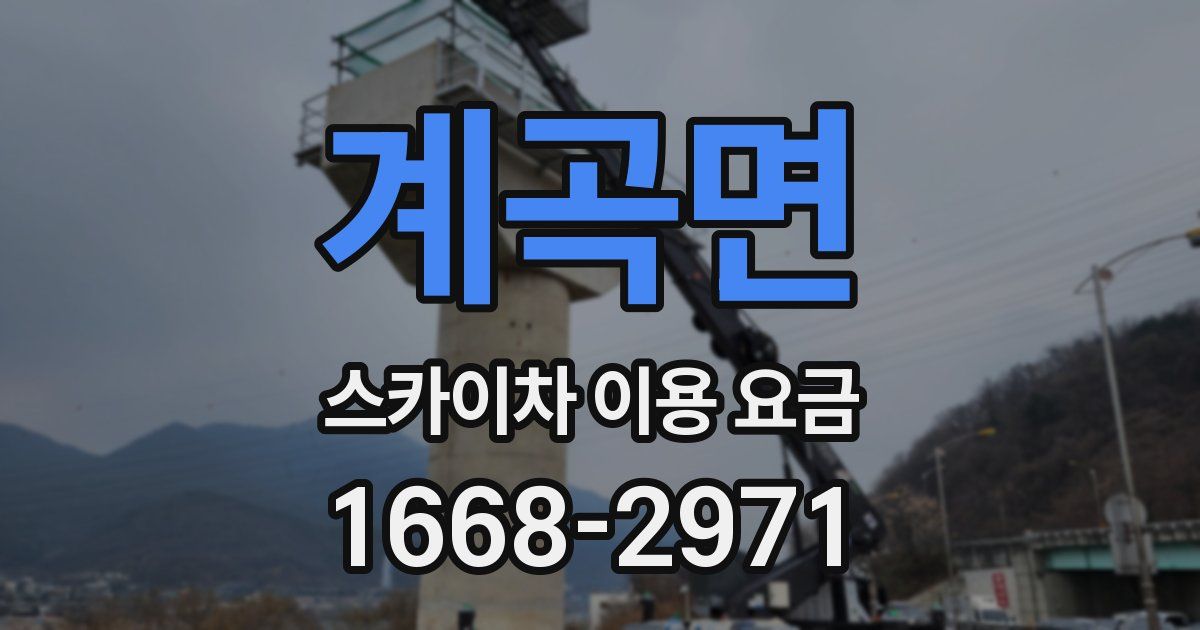 계곡면 스카이차 이용 요금