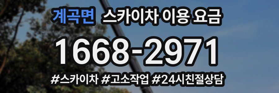 계곡면 스카이차 이용 요금