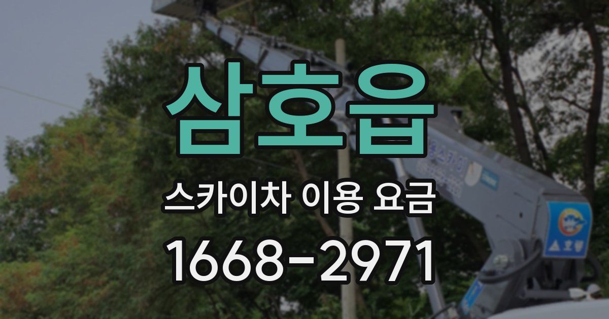 삼호읍 스카이차 이용 요금