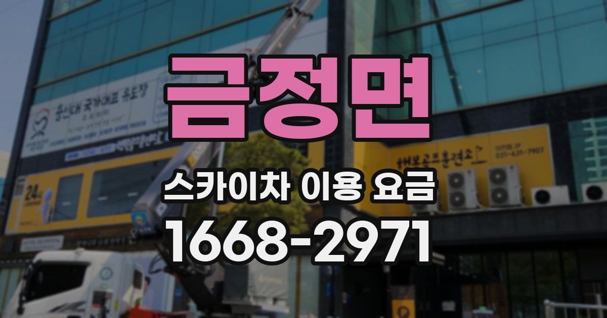 금정면 스카이차 이용 요금