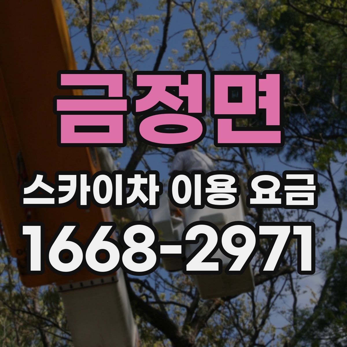 금정면 스카이차 이용 요금