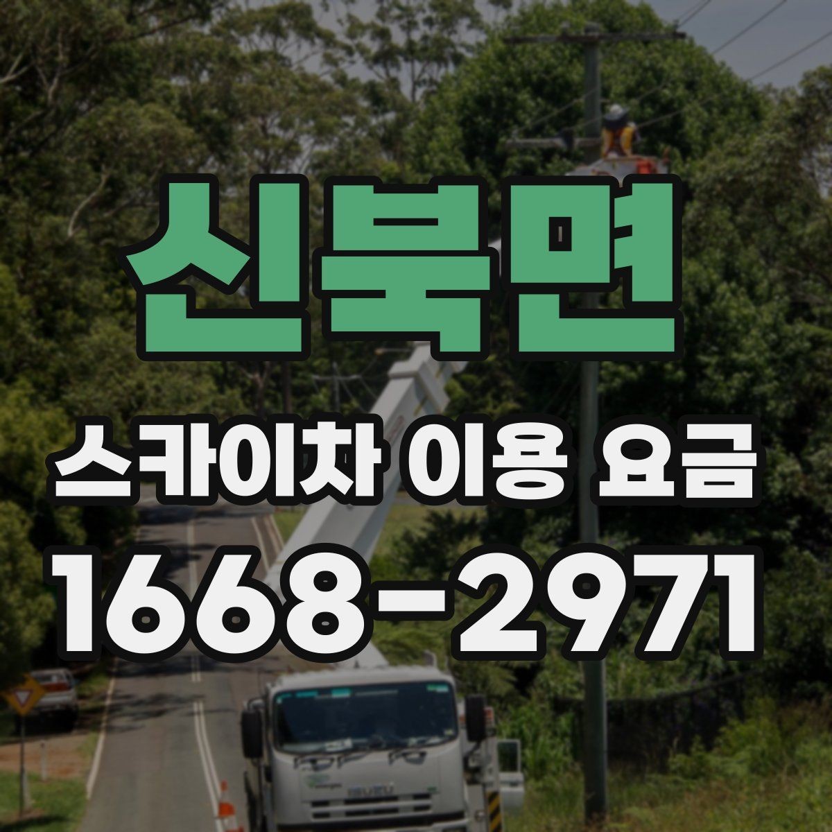 신북면 스카이차 이용 요금 확인 전 알아둘 실용 정보