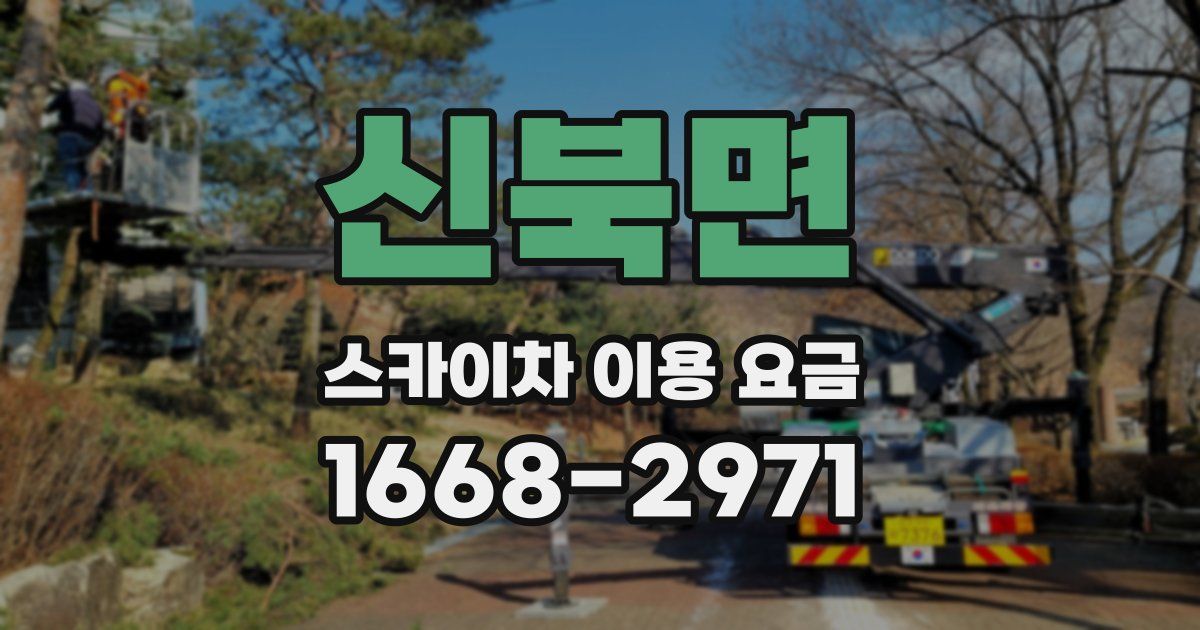 신북면 스카이차 이용 요금