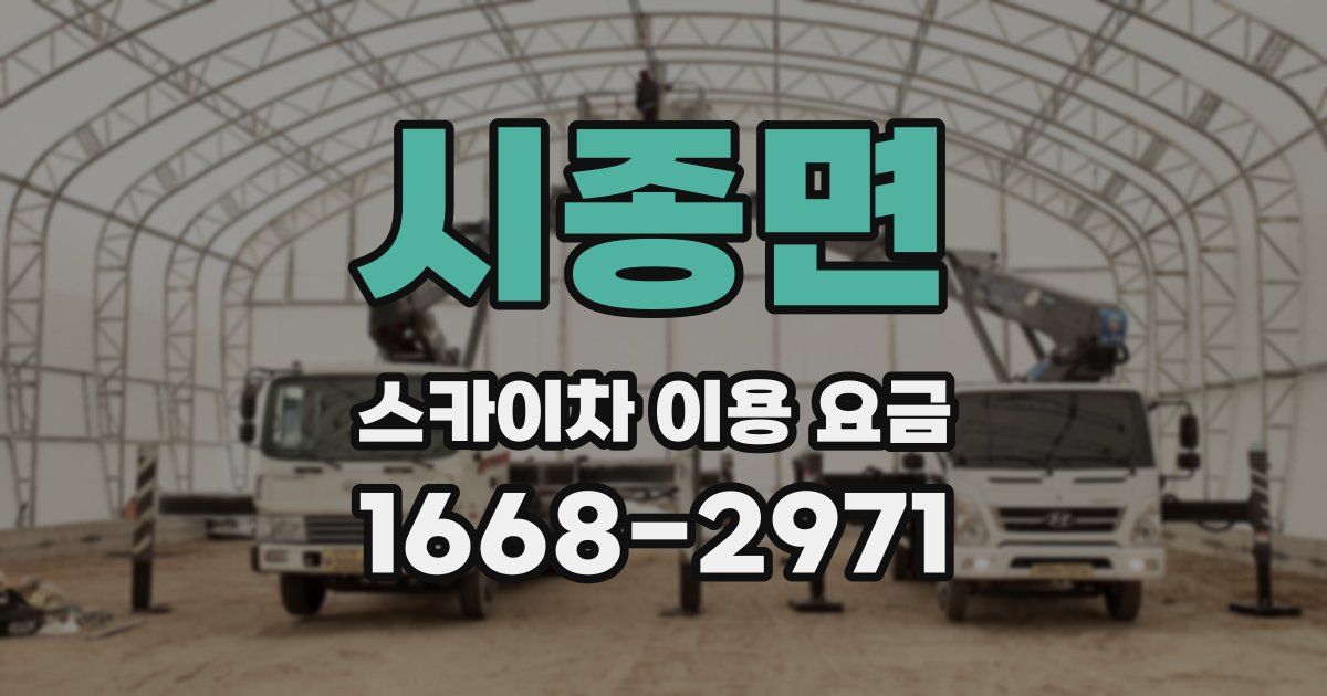 시종면 스카이차 이용 요금