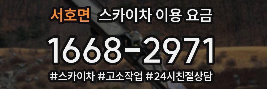 서호면 스카이차 이용 요금