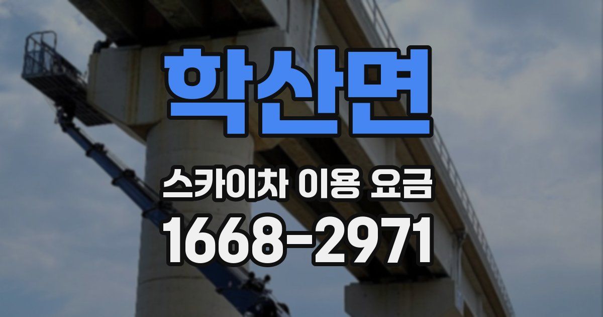 학산면 스카이차 이용 요금