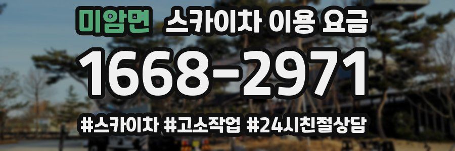 미암면 스카이차 이용 요금