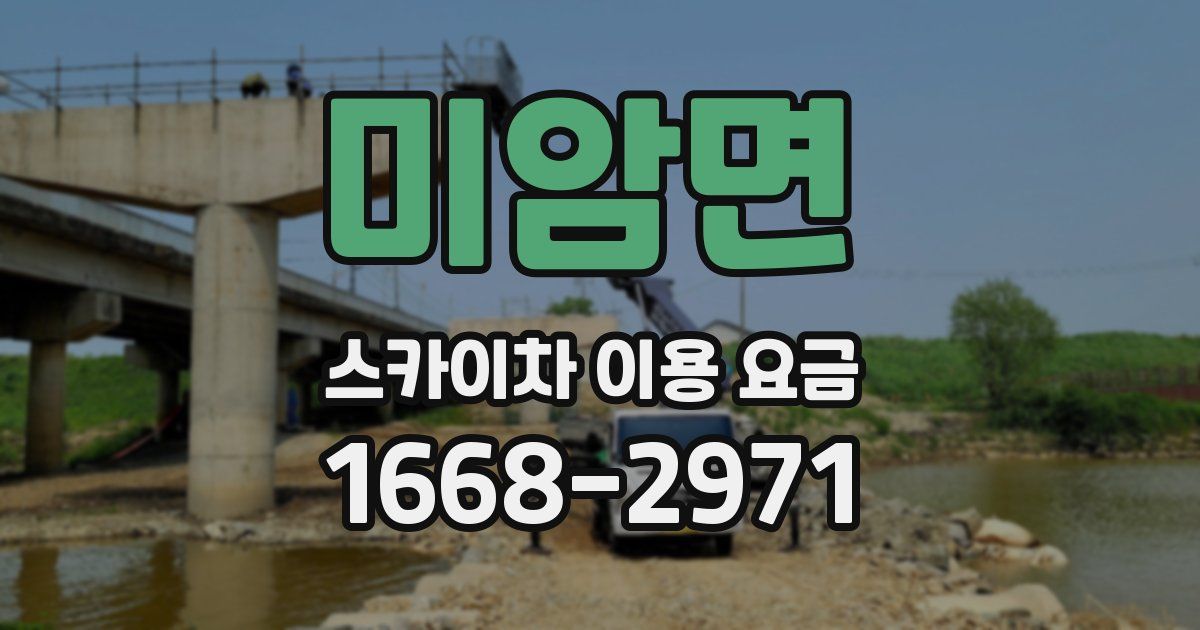 미암면 스카이차 이용 요금