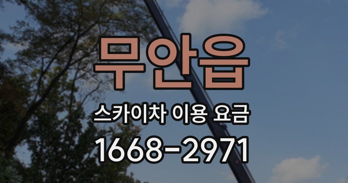 무안읍 스카이차 이용 요금