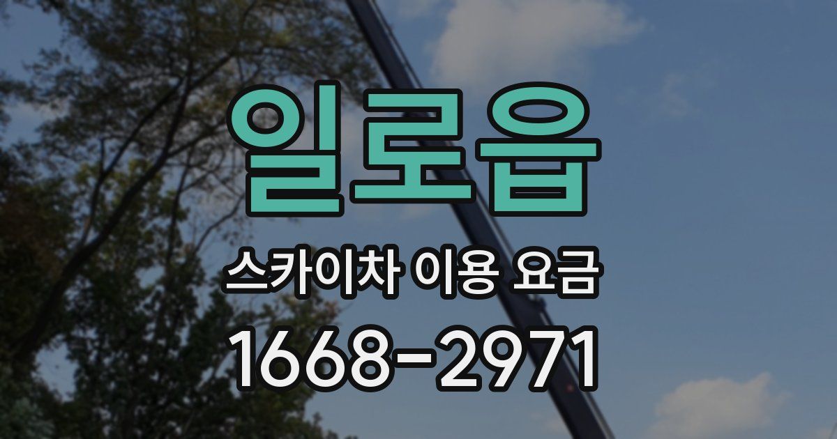 일로읍 스카이차 이용 요금