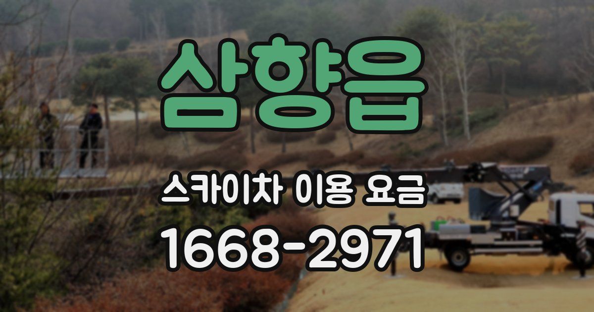 삼향읍 스카이차 이용 요금