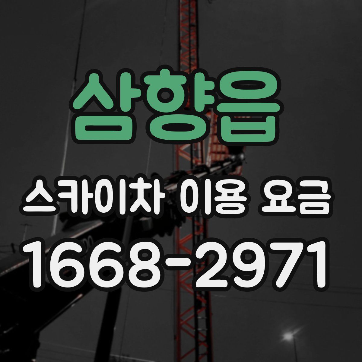 삼향읍 스카이차 이용 요금
