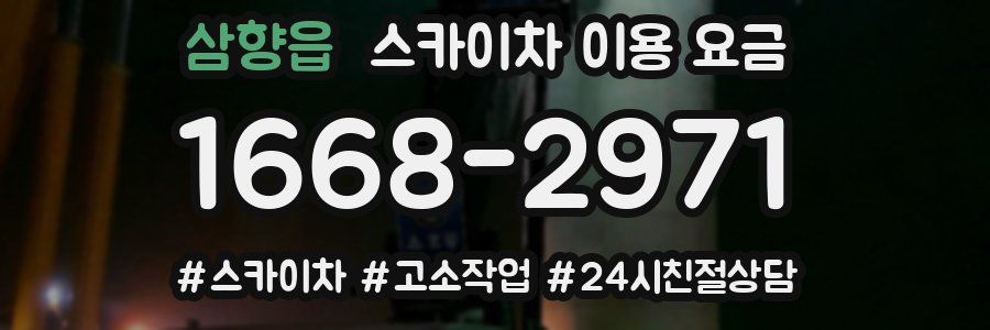 삼향읍 스카이차 이용 요금