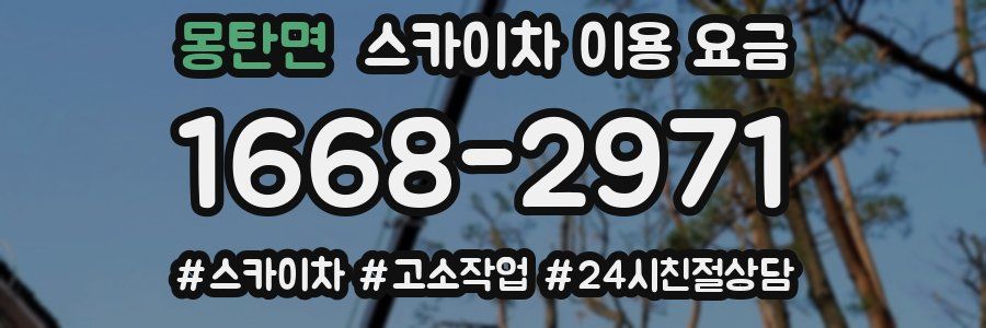 몽탄면 스카이차 이용 요금