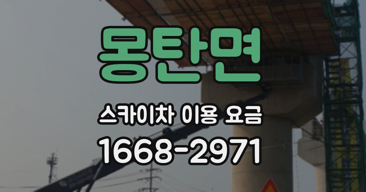몽탄면 스카이차 이용 요금
