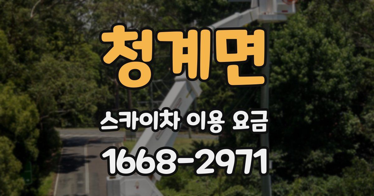 청계면 스카이차 이용 요금