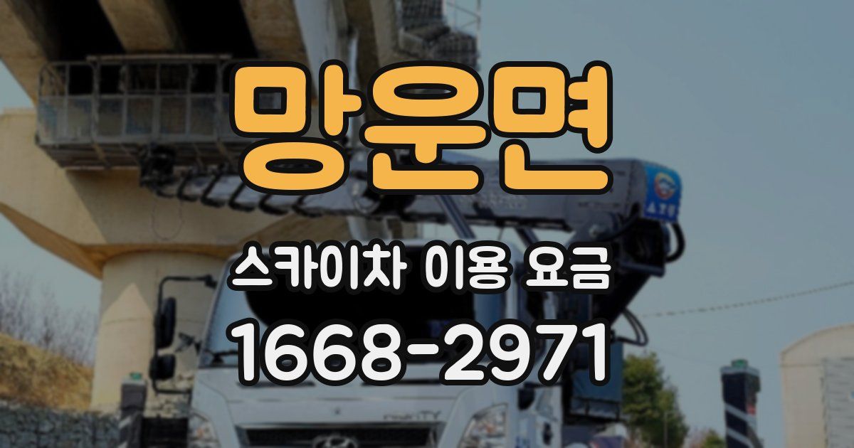 망운면 스카이차 이용 요금