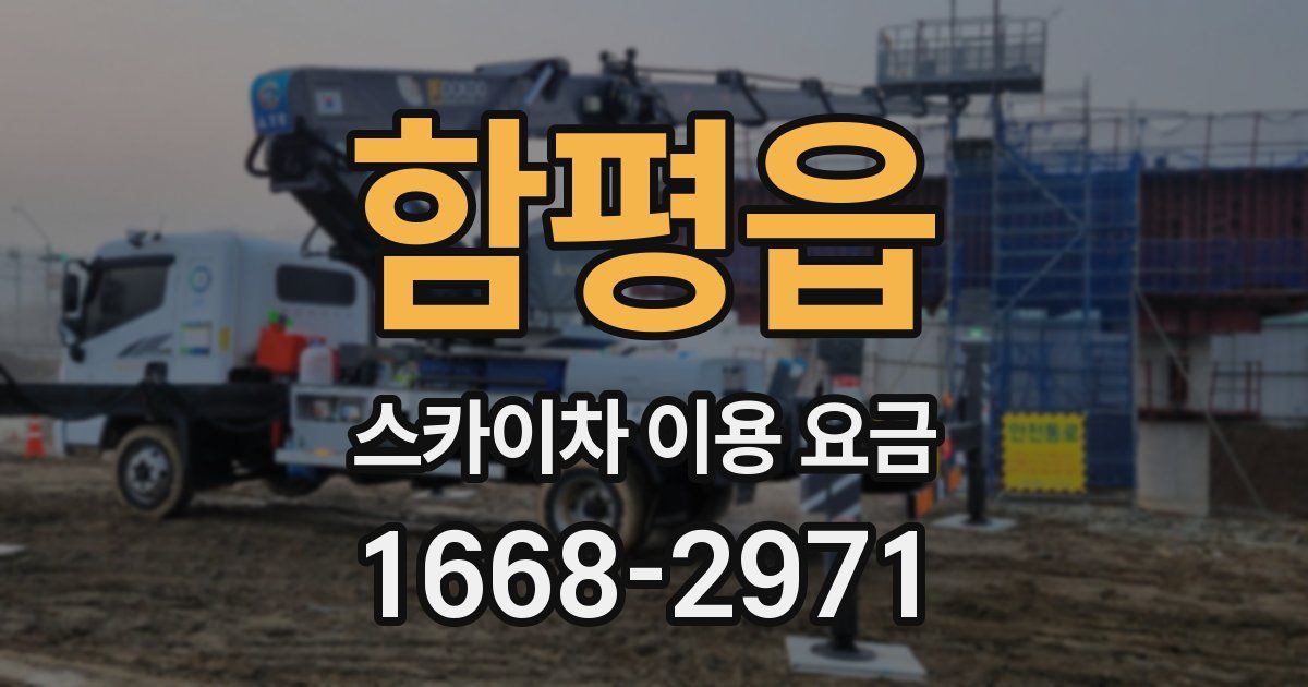 함평읍 스카이차 이용 요금