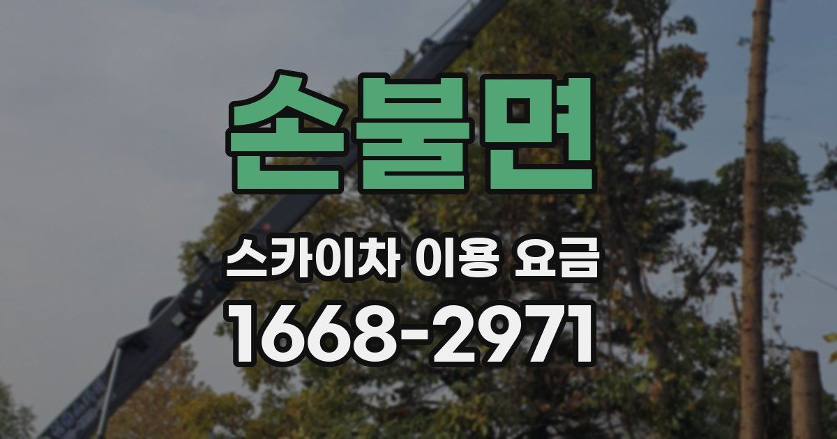 손불면 스카이차 이용 요금