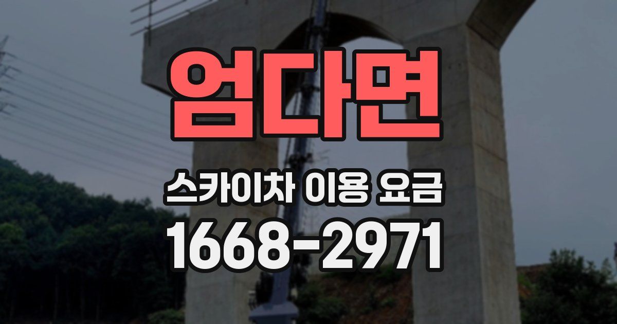엄다면 스카이차 이용 요금