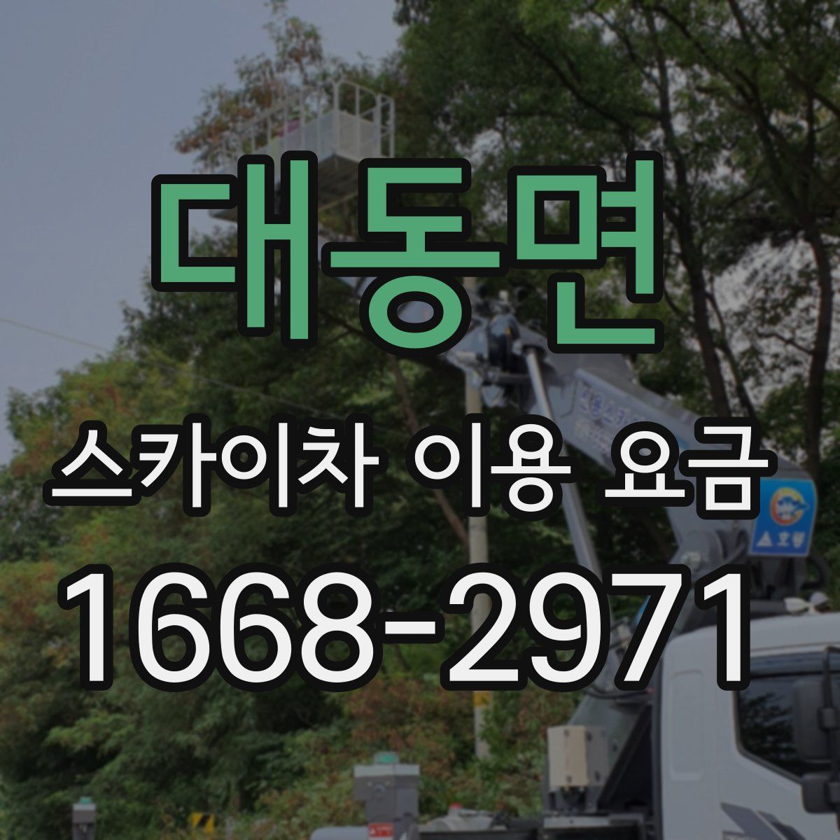 대동면 스카이차 이용 요금