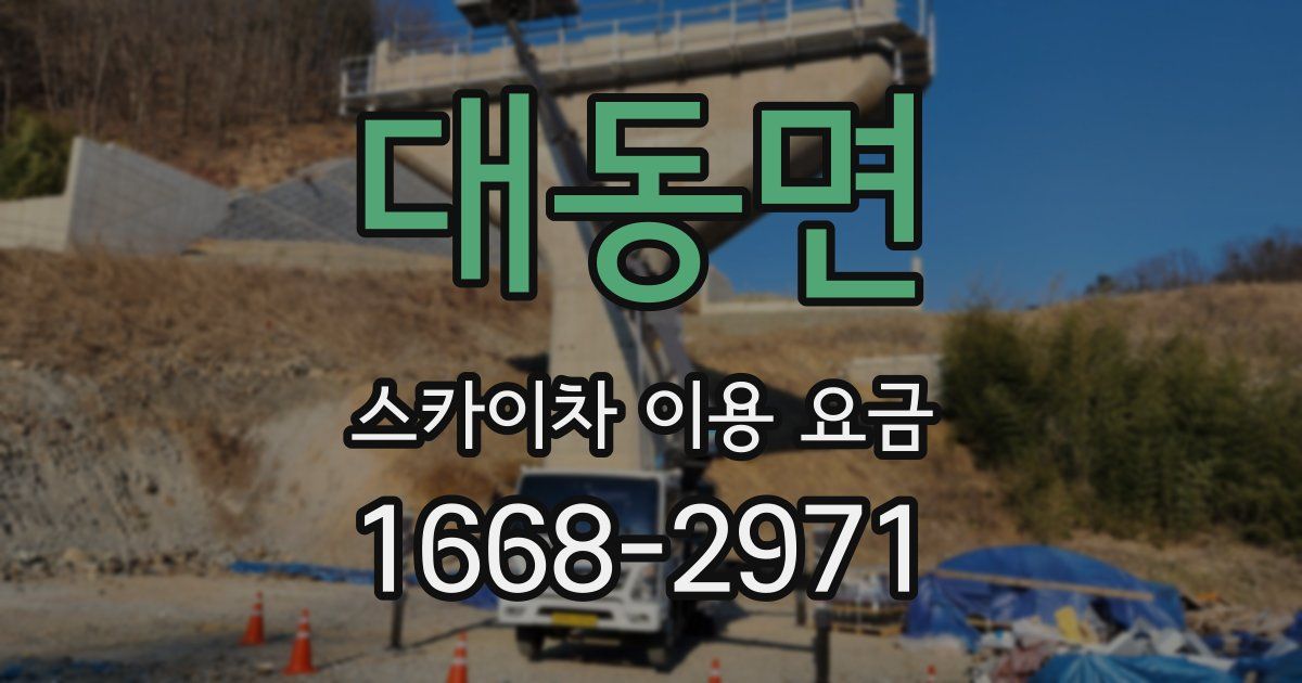 대동면 스카이차 이용 요금