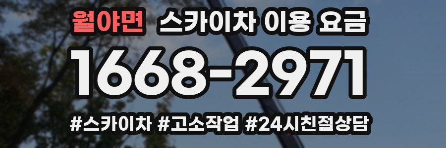월야면 스카이차 이용 요금