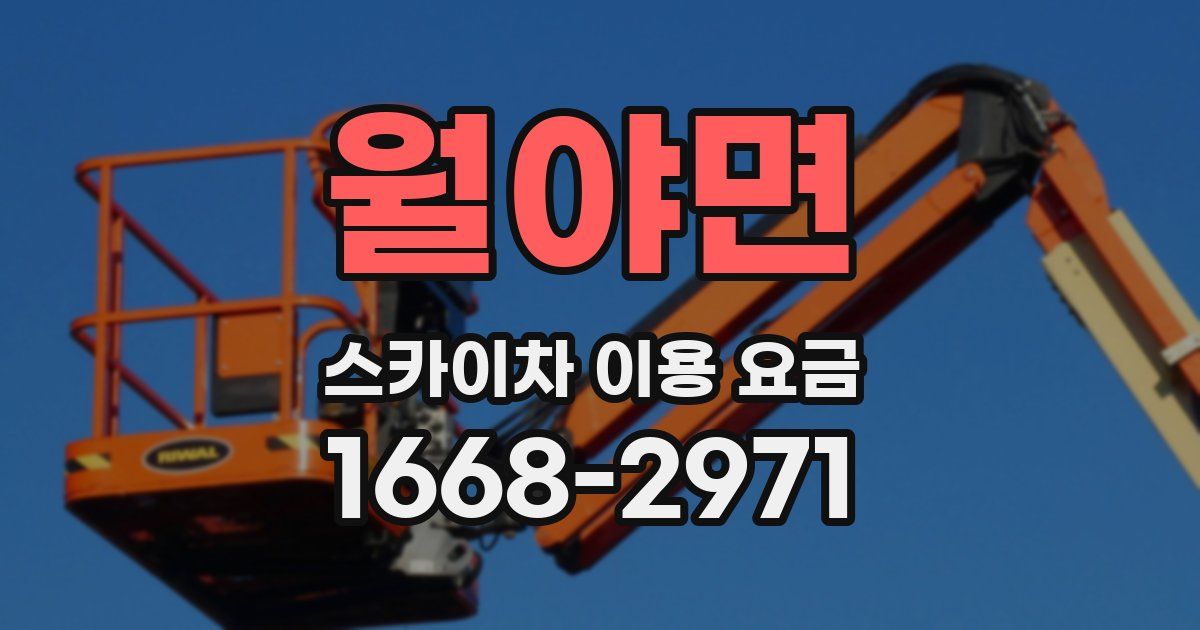 월야면 스카이차 이용 요금