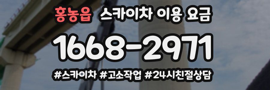 홍농읍 스카이차 이용 요금