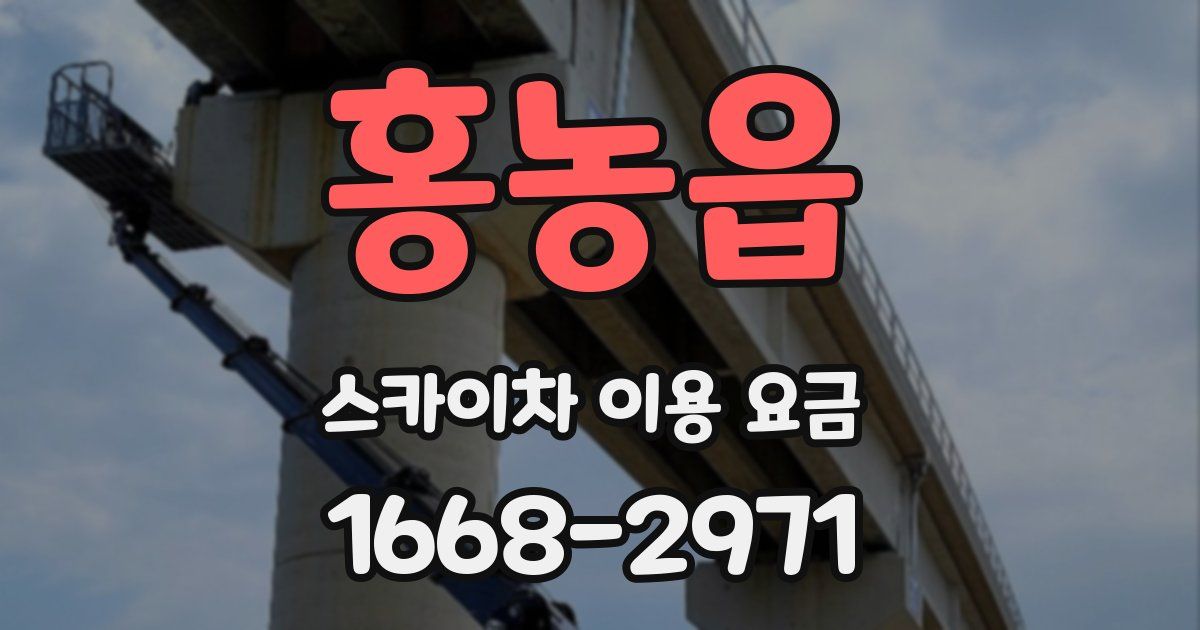 홍농읍 스카이차 이용 요금