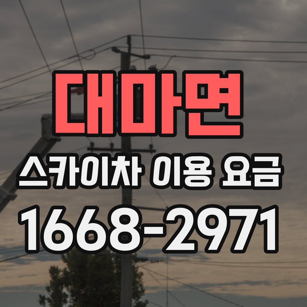 대마면 스카이차 이용 요금