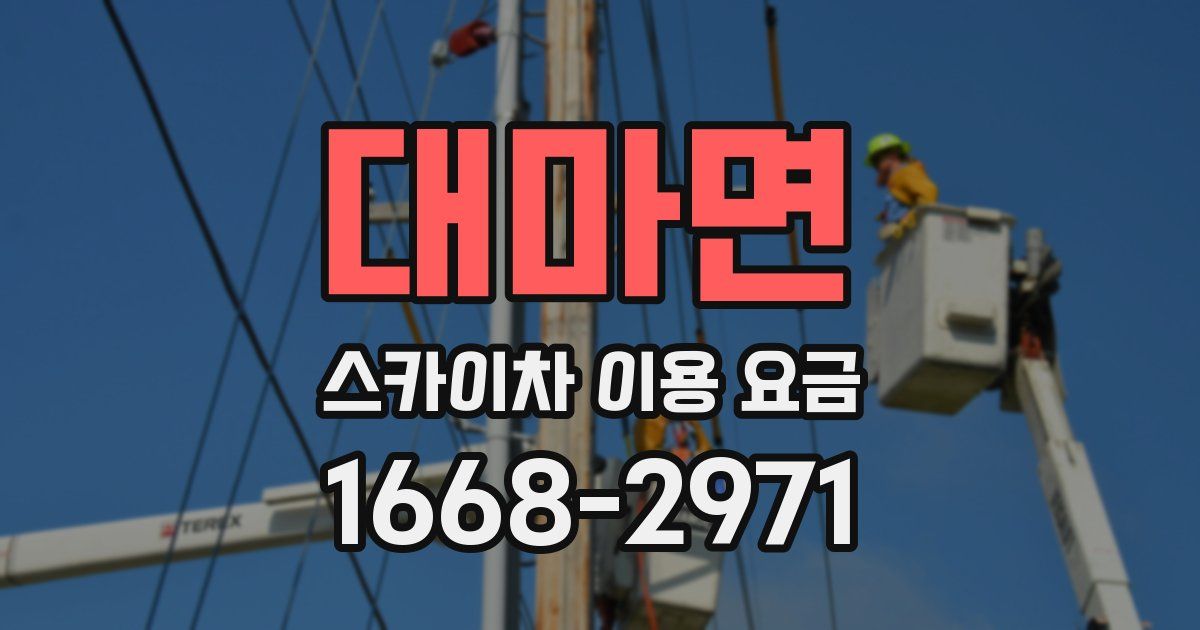 대마면 스카이차 이용 요금