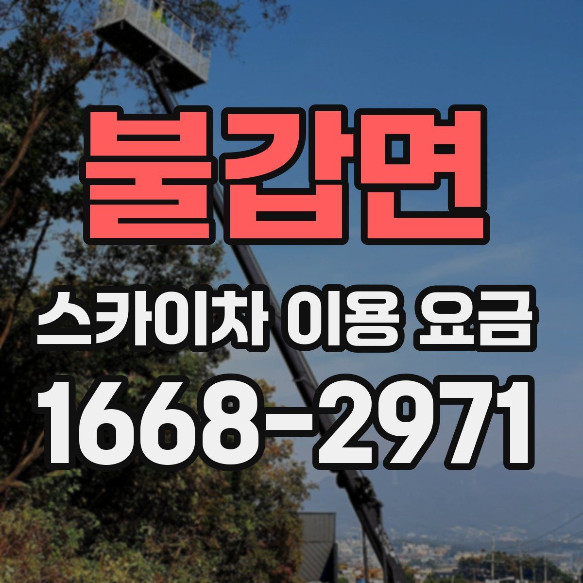 불갑면 스카이차 이용 요금