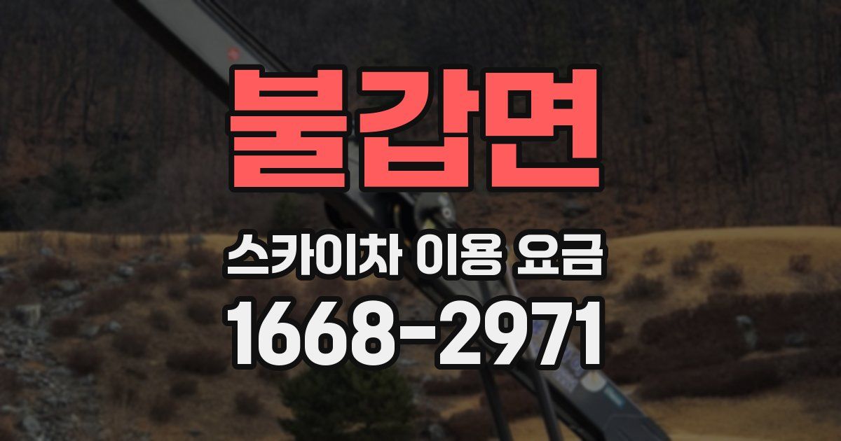 불갑면 스카이차 이용 요금