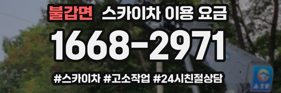 불갑면 스카이차 이용 요금