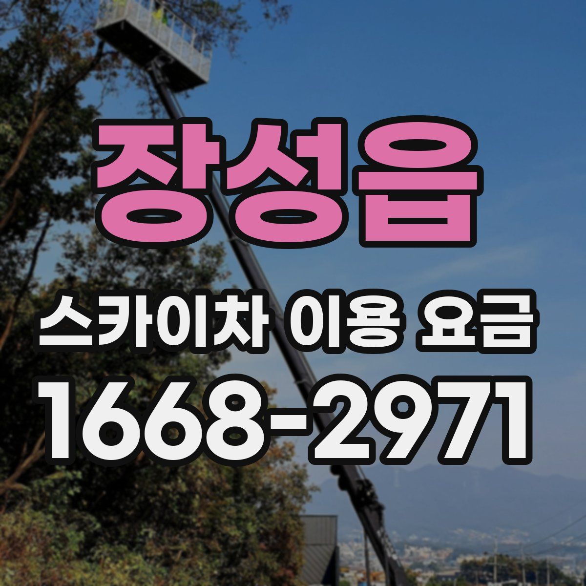 장성읍 스카이차 이용 요금