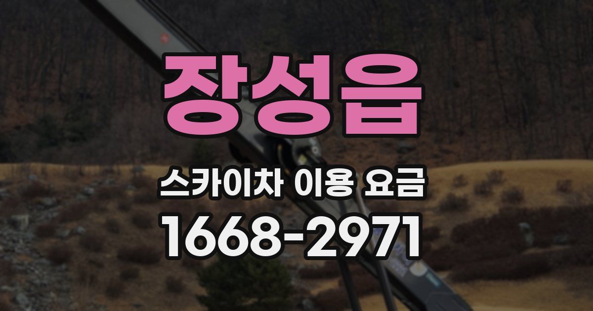 장성읍 스카이차 이용 요금