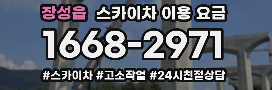 장성읍 스카이차 이용 요금