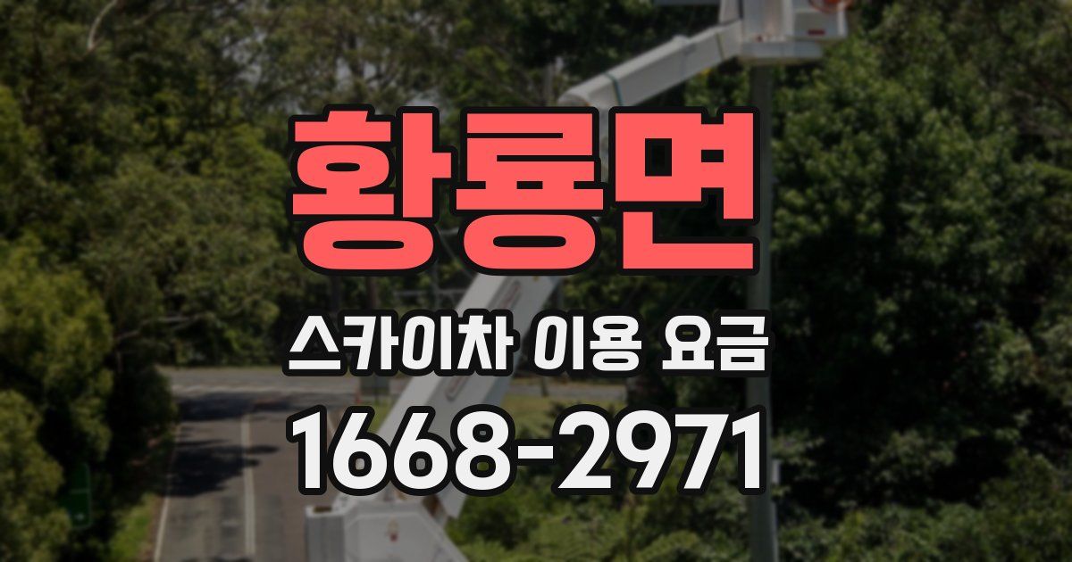 황룡면 스카이차 이용 요금