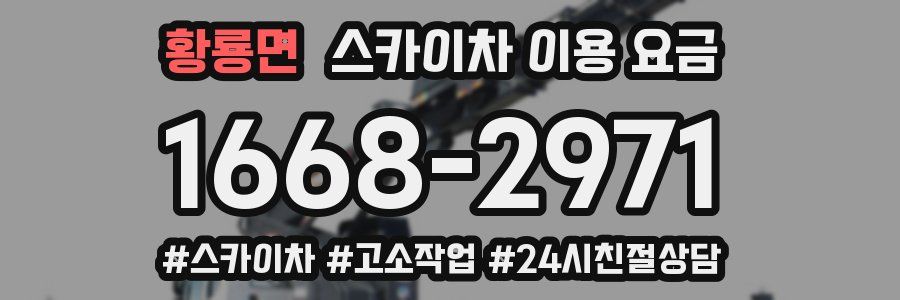 황룡면 스카이차 이용 요금