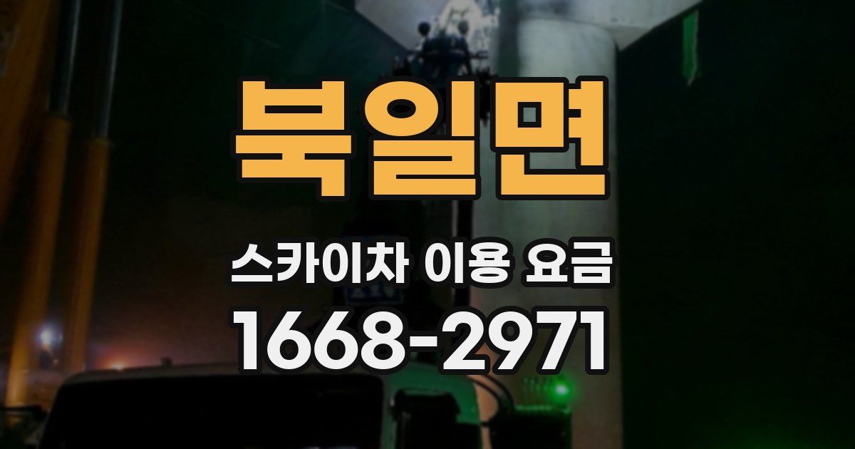 북일면 스카이차 이용 요금