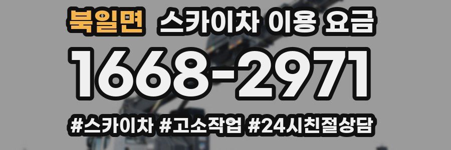 북일면 스카이차 이용 요금