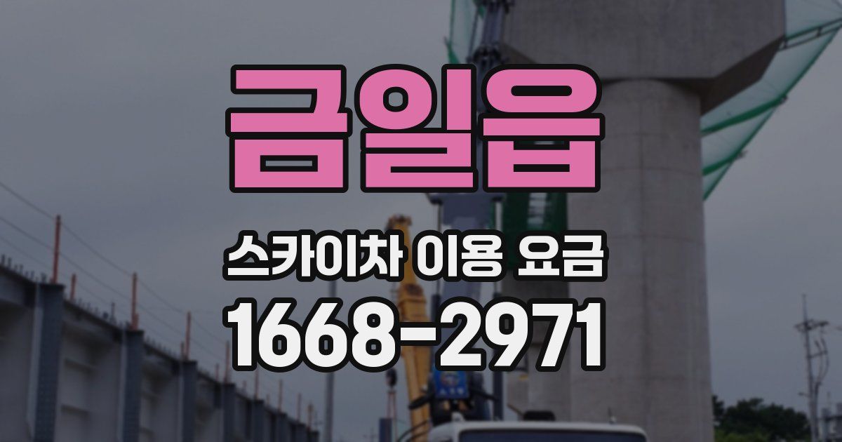금일읍 스카이차 이용 요금