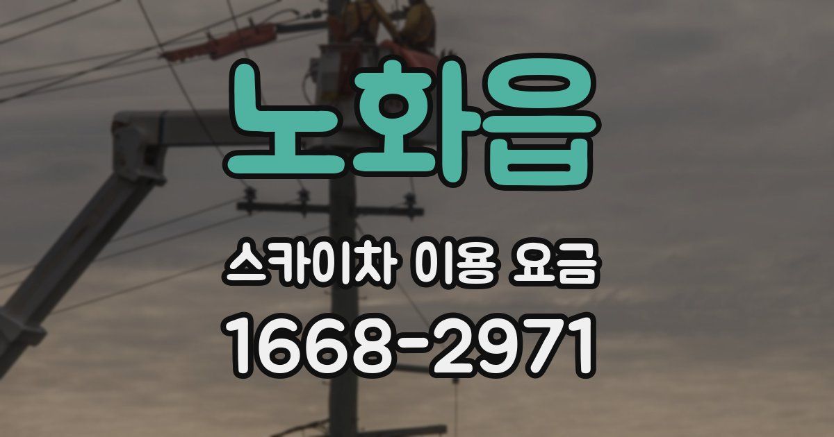 노화읍 스카이차 이용 요금