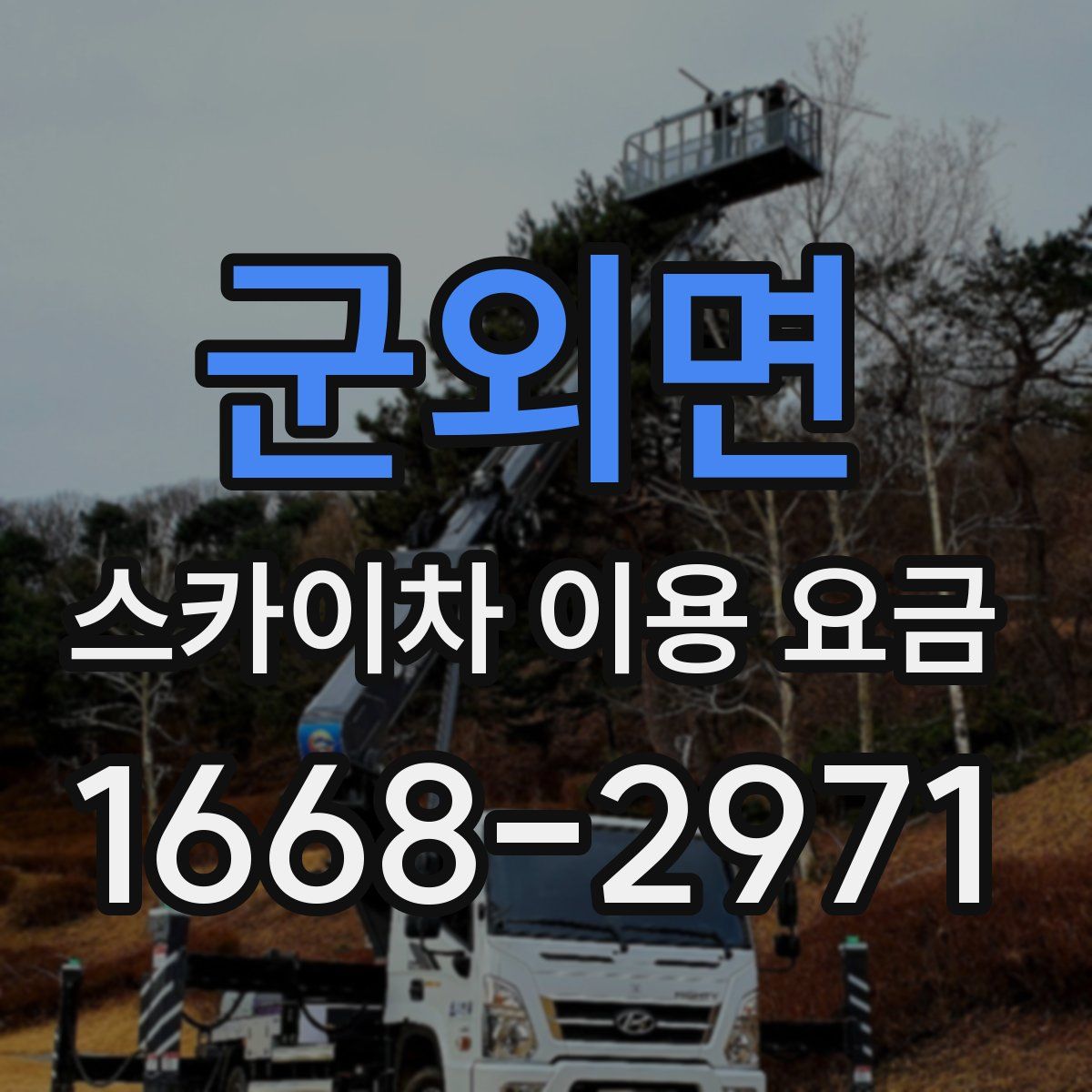 군외면 스카이차 이용 요금