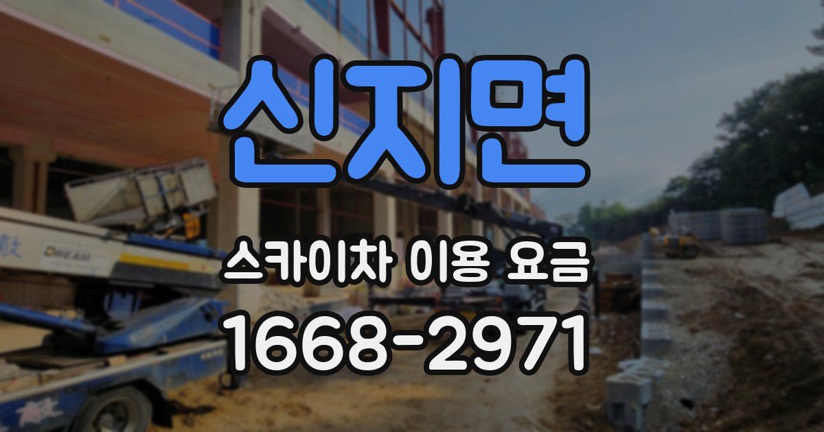 신지면 스카이차 이용 요금