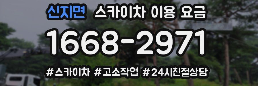 신지면 스카이차 이용 요금