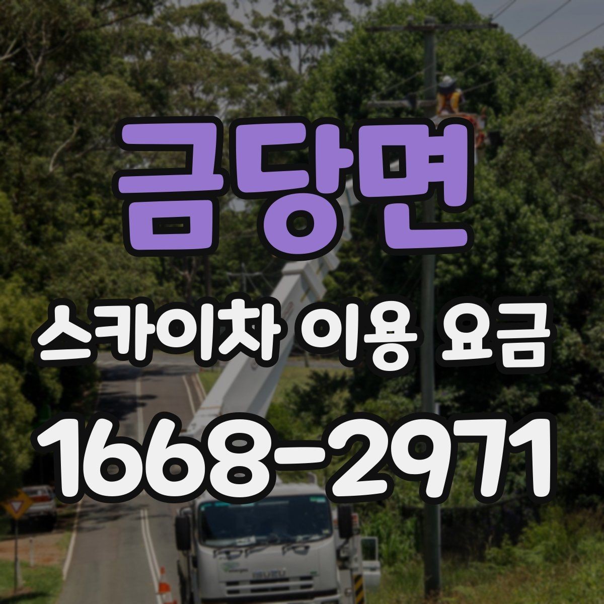 금당면 스카이차 이용 요금 안내를 읽을 때 살펴볼 세부 조건